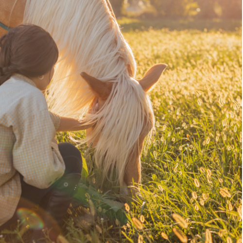 Marius Fabre Launches New Product Ranges For Pets