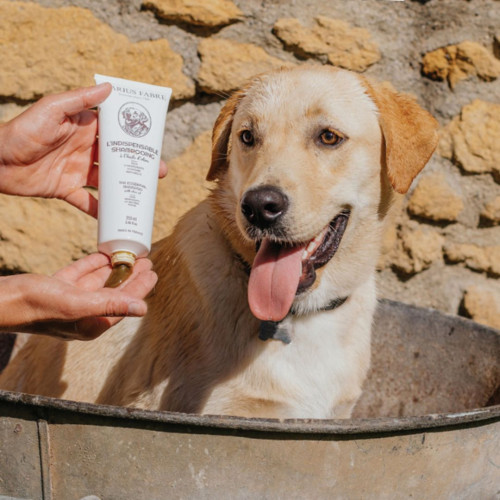For Dogs